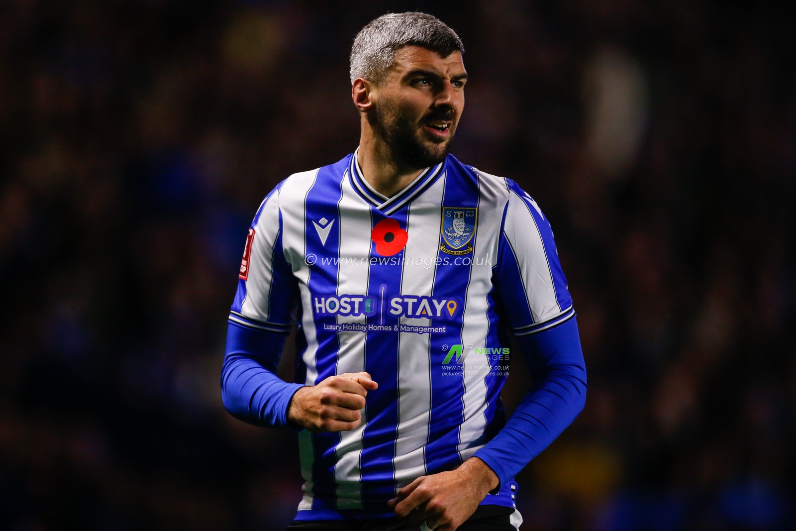 Callum Paterson #13 of Sheffield Wednesday during the Emirates FA Cup match Sheffield Wednesday vs Morecambe at Hillsborough, Sheffield, United Kingdom, 4th November 2022

(Photo by Ben Early/News Images)