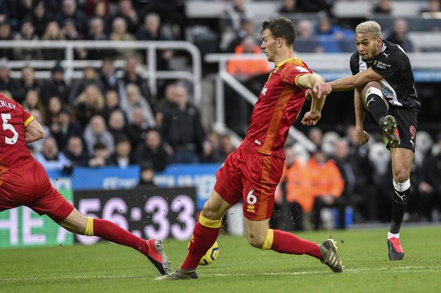 Premier League Newcastle United v Norwich City