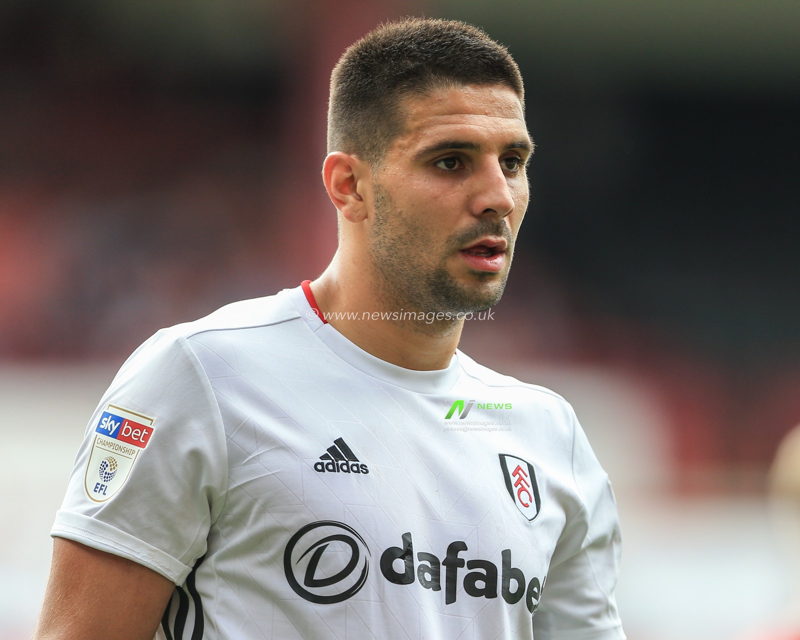 3rd August 2019, Oakwell, Barnsley, England; Sky Bet Championship, Barnsley vs Fulham ; Aleksandar Mitrovic (9) of Fulham during the game


Credit: Mark Cosgrove/News Images

English Football League images are subject to DataCo Licence