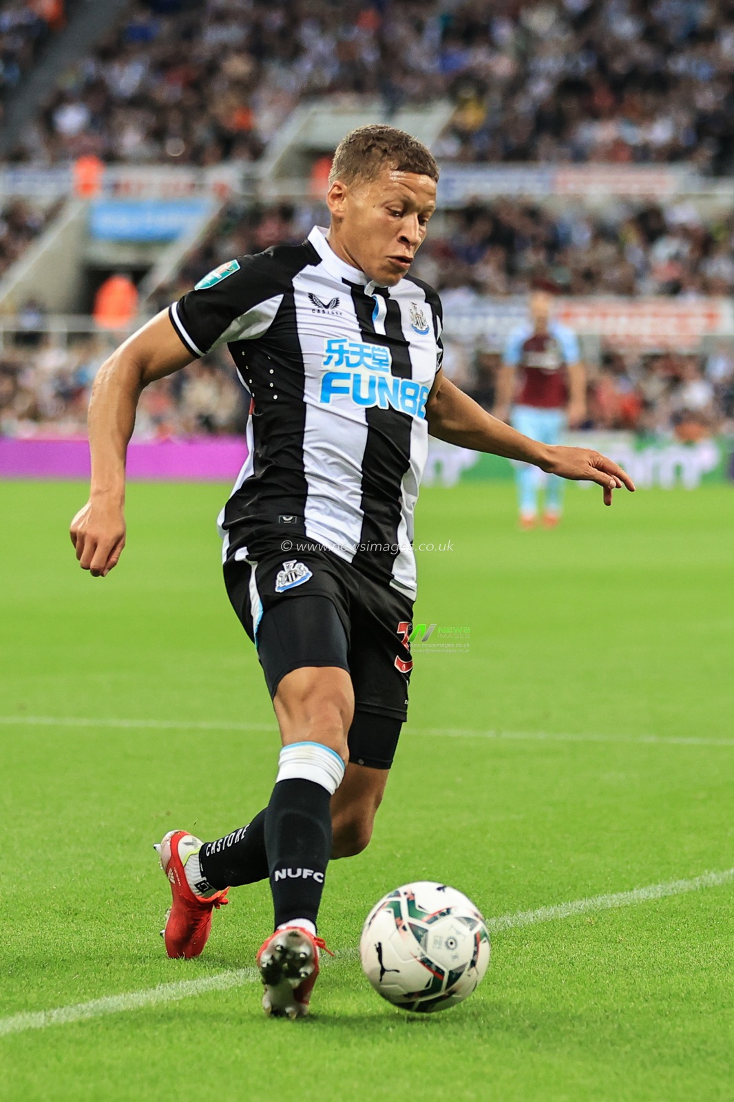 Dwight Gayle #34 of Newcastle United in action during the game