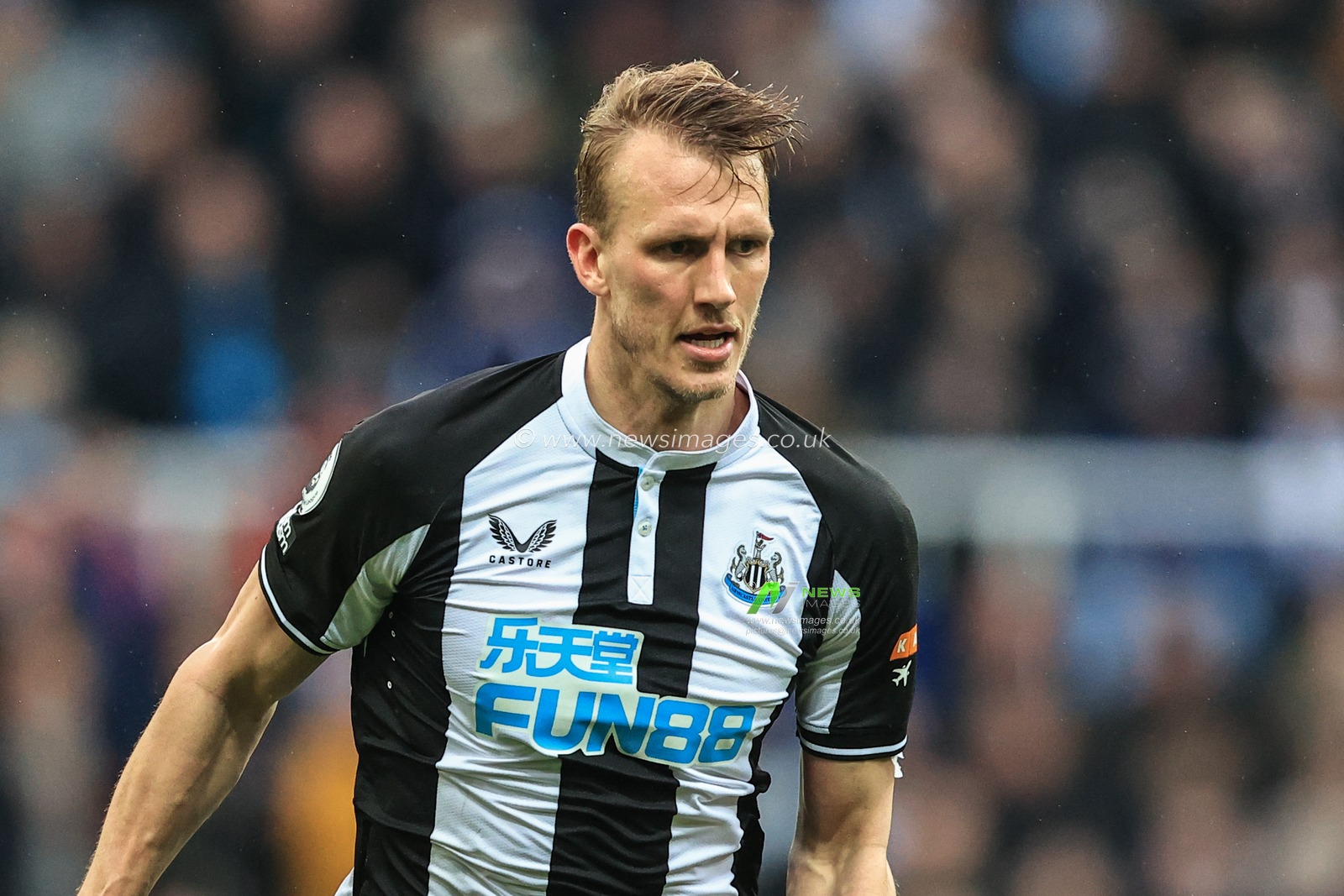 Dan Burn #33 of Newcastle United in action during the game
