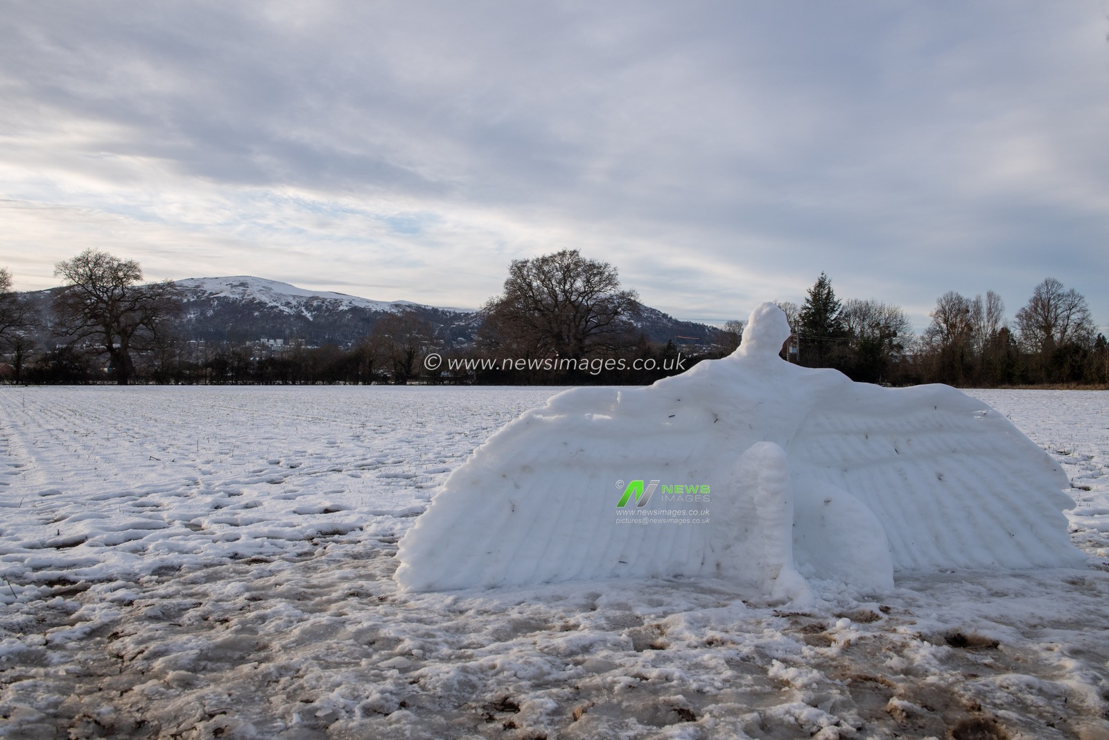 Ed Elliotts 2021 Snow Angel snow sculpture with the Malvern Hills AONB in the background