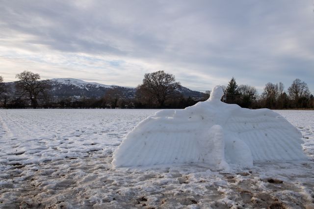 Snow Angel on the Malvern Hills - Ed Elliot