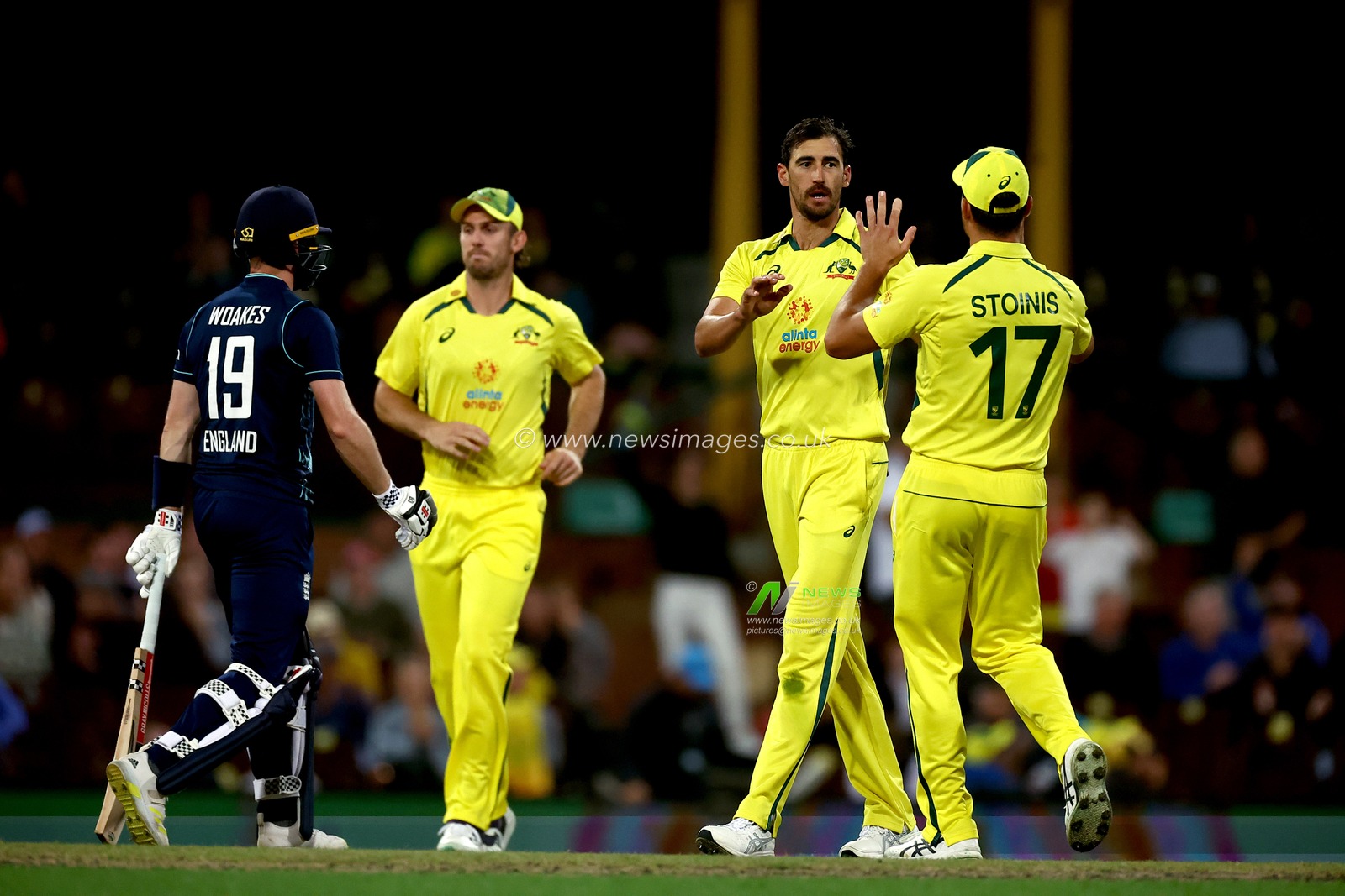 Mitchel Starc of Australia celebrates the dismissal of Chris Woakes of England during the Dettol Series 2nd ODI match Australia vs England at SCG, Sydney, Australia, 19th November 2022

(Photo by Patrick Hoelscher/News Images)
