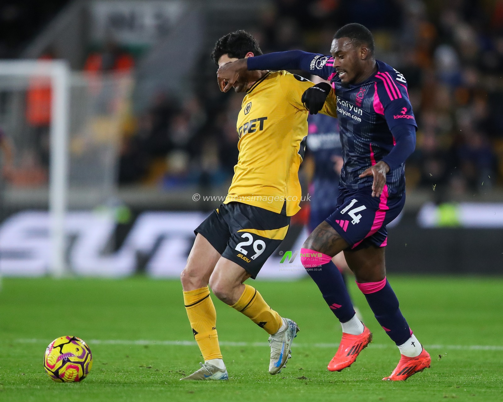 GonÃ§alo Guedes of Wolverhampton Wanderers and Callum Hudson-Odoi of Nottingham Forest battle for the ball during the Premier League match Wolverhampton Wanderers vs Nottingham Forest at Molineux, Wolverhampton, United Kingdom, 6th January 2025

(Photo by Gareth Evans/News Images)