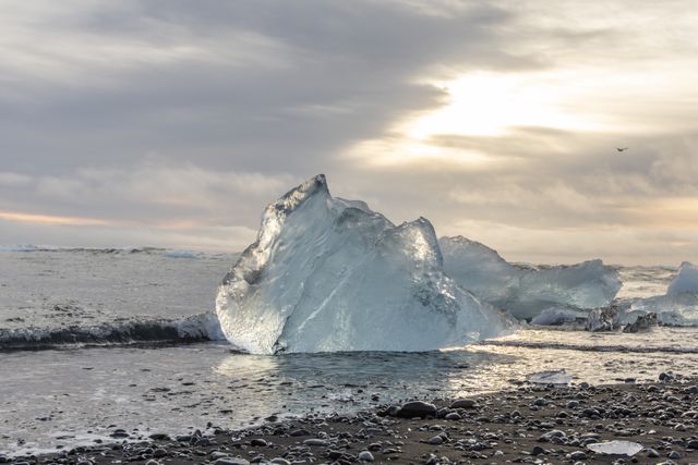 Small Iceberg's washed up on Diamond Beach that float down the river from JÃ¶kulsÃ¡rlÃ³n Glacial Lake , JÃ¶kulsÃ¡rlÃ³n, Iceland, 25th March 2025

(Photo by Alfie Cosgrove/News Images)