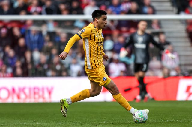Premier League: Sunderland v Brighton & Hove Albion