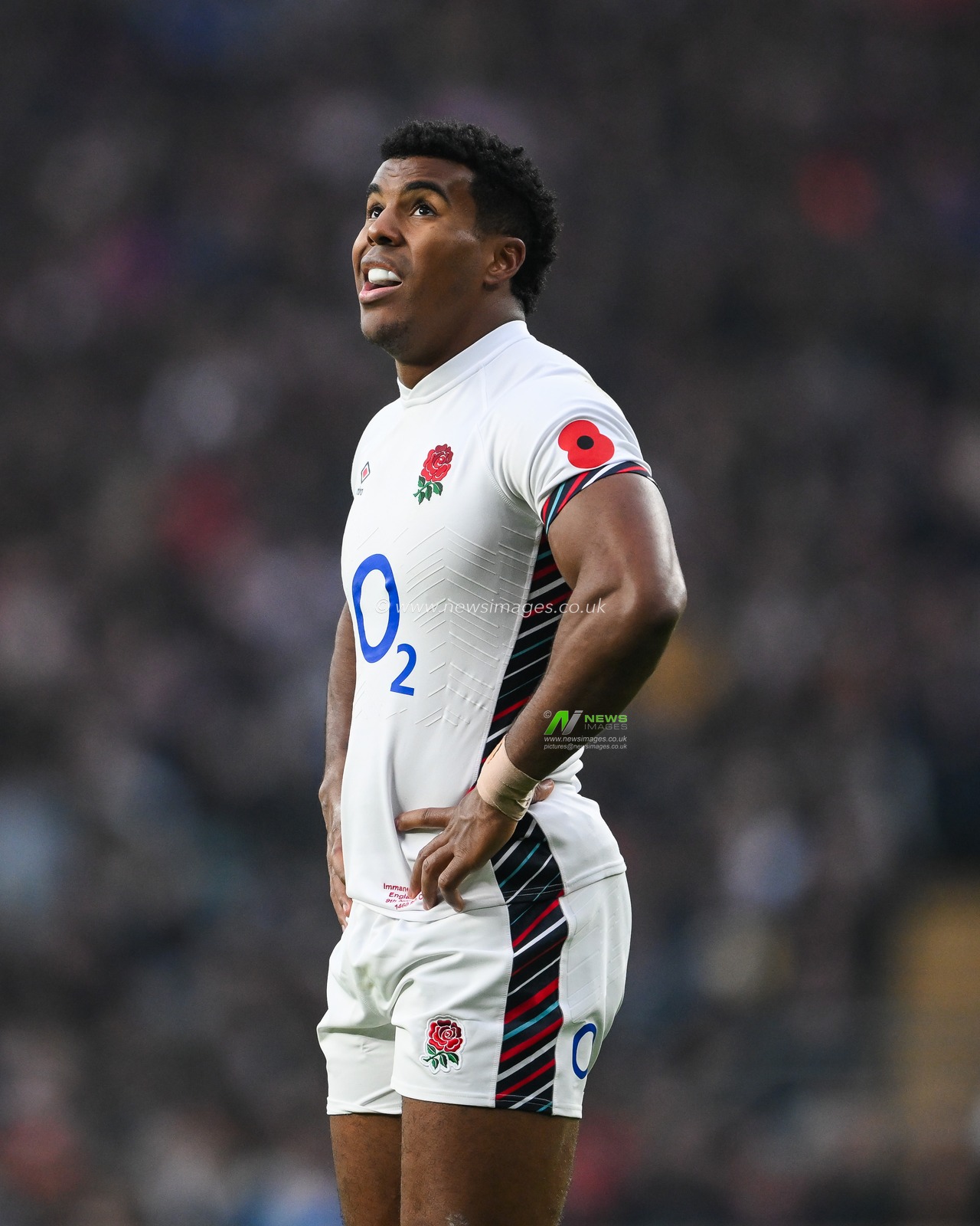 Immanuel Feyi-Waboso of England during the Autumn Nations Series match England vs Australia at Allianz Stadium, Twickenham, United Kingdom, 8th November 2024

(Photo by Craig Thomas/News Images)