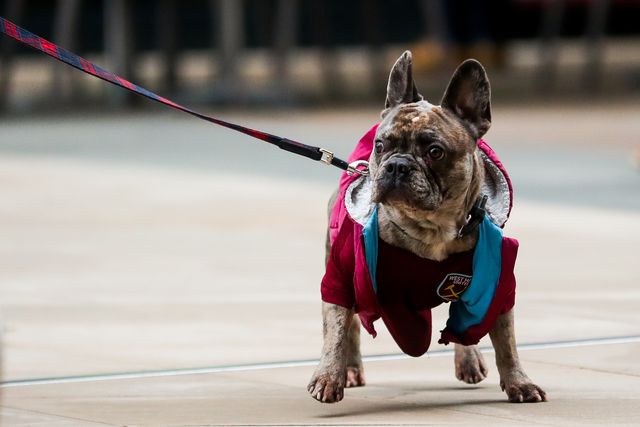 Premier League West Ham United v Crystal Palace