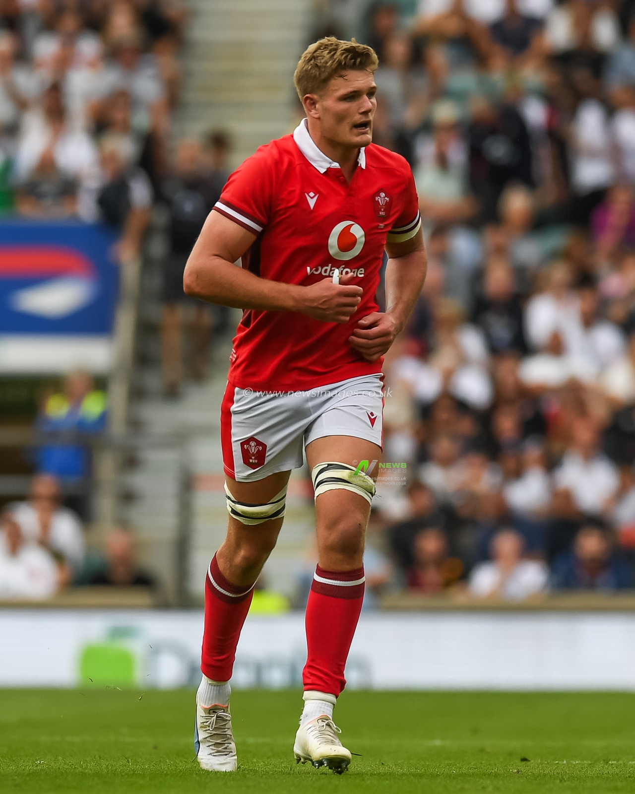 Taine Plumtree of Wales during the 2023 Summer Series match England vs Wales at Twickenham Stadium, Twickenham, United Kingdom, 12th August 2023

(Photo by Mike Jones/News Images)