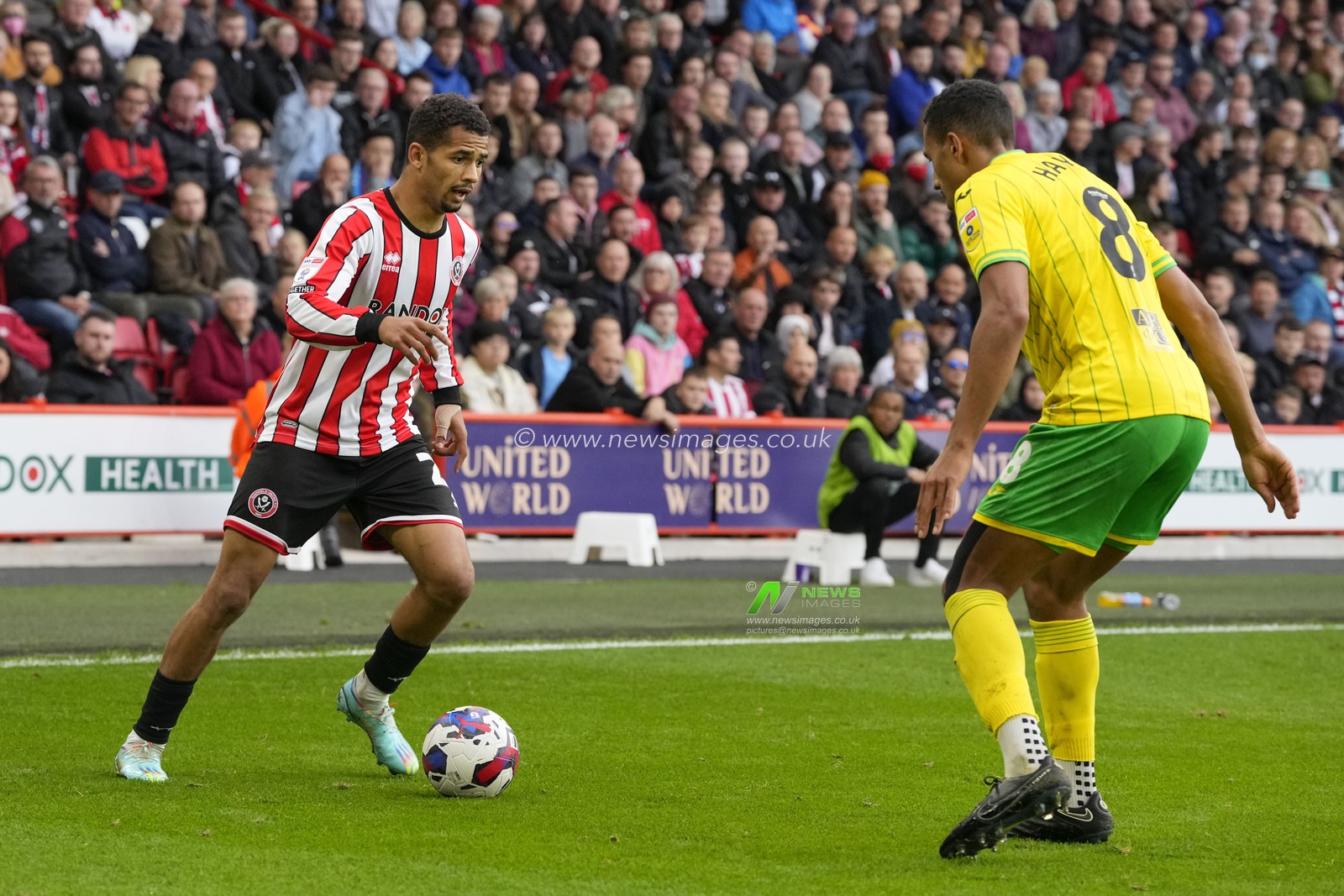 Iliman Ndiaye #29 of Sheffield United runs at Isaac Hayden #8 of Norwich City during the Sky Bet Championship match Sheffield United vs Norwich City at Bramall Lane, Sheffield, United Kingdom, 22nd October 2022

(Photo by Steve Flynn/News Images)