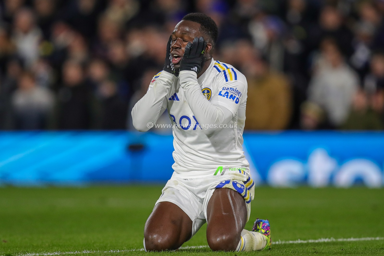 A dejected Wilfried Gnonto of Leeds United during the Sky Bet Championship match Leeds United vs Leicester City at Elland Road, Leeds, United Kingdom, 23rd February 2024

(Photo by James Heaton/News Images)
