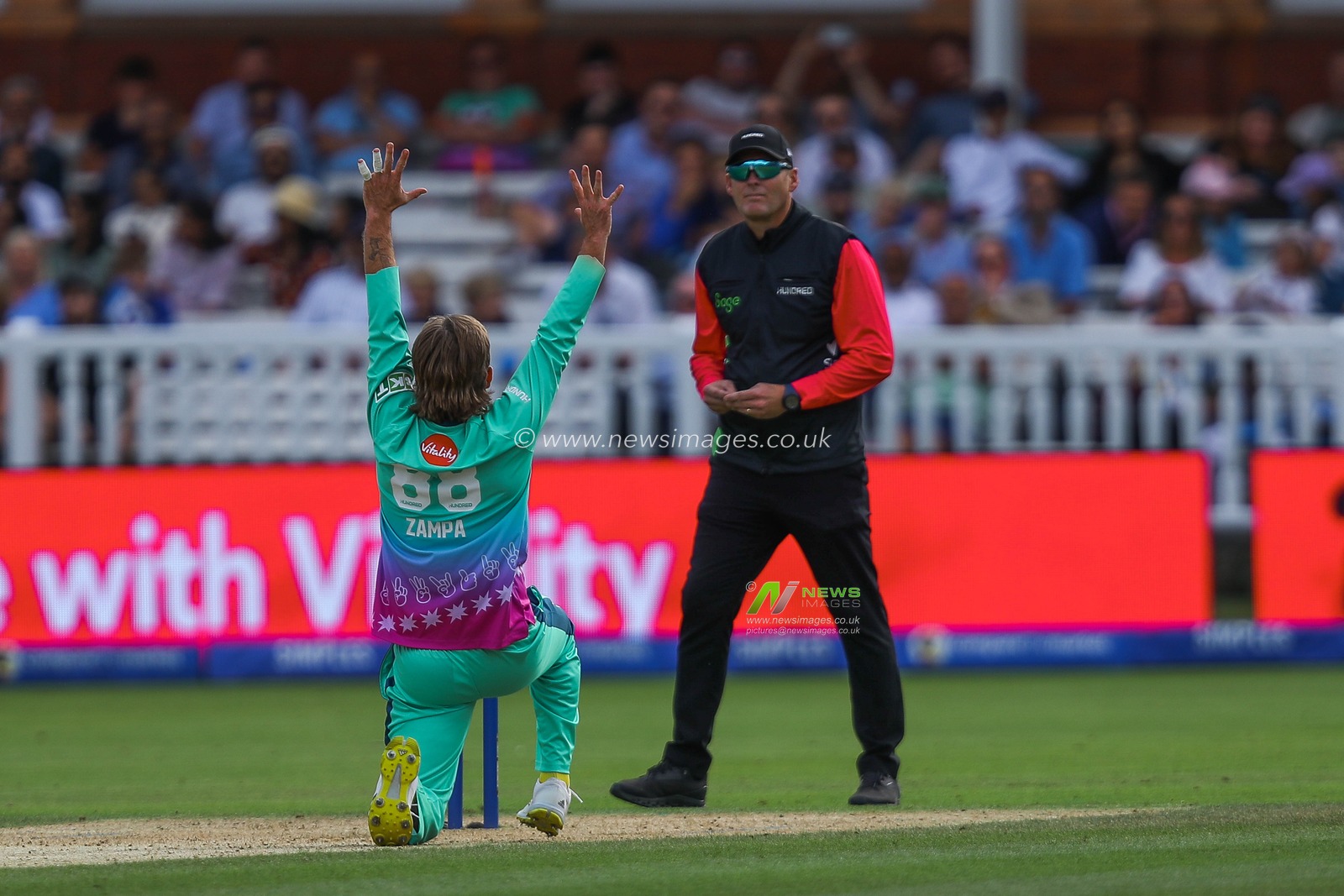 Adam Zampa of Oval Invincibles appeals for a wicket during the The Hundred match London Spirit Men vs Oval Invincibles at Lords, London, United Kingdom, 4th August 2024

(Photo by Izzy Poles/News Images)