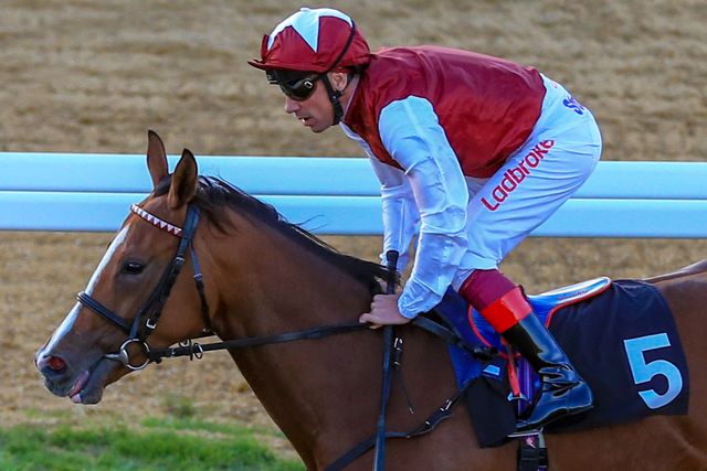 Chelmsford City Horse Racing