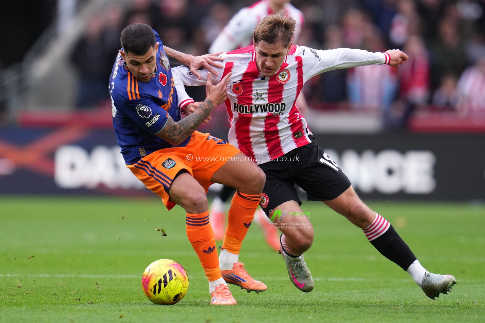 Bruno Guimarães of Newcastle United and Yehor Yarmolyuk of Brentford battle during the Premier League match Brentford vs Newcastle United at The Gtech Community Stadium, London, United Kingdom, 9th November 2025

(Photo by Harvey Murphy/News Images)

*** GER AUT SUI OUT ***