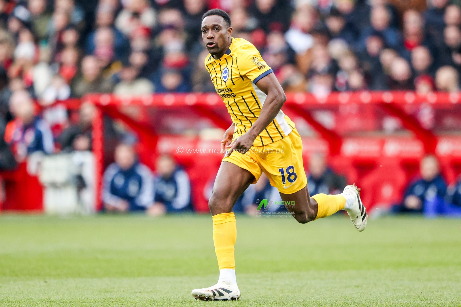 Danny Welbeck of Brighton & Hove Albion in action during the Premier League match Nottingham Forest vs Brighton and Hove Albion at City Ground, Nottingham, United Kingdom, 1st February 2025

(Photo by Alfie Cosgrove/News Images)