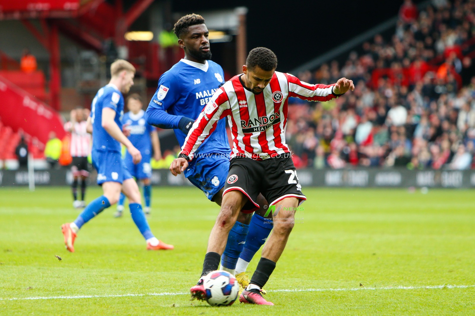 Iliman Ndiaye #29 of Sheffield United attempts a shot on goal during the Sky Bet Championship match Sheffield United vs Cardiff City at Bramall Lane, Sheffield, United Kingdom, 15th April 2023

(Photo by Ben Early/News Images)
