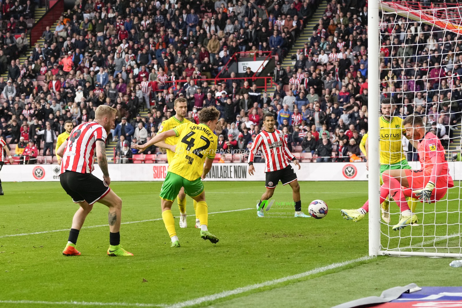 Oliver McBurnie #9 of Sheffield United watches as Angus Gunn #28 of Norwich City saves with his feetduring the Sky Bet Championship match Sheffield United vs Norwich City at Bramall Lane, Sheffield, United Kingdom, 22nd October 2022

(Photo by Steve Flynn/News Images)