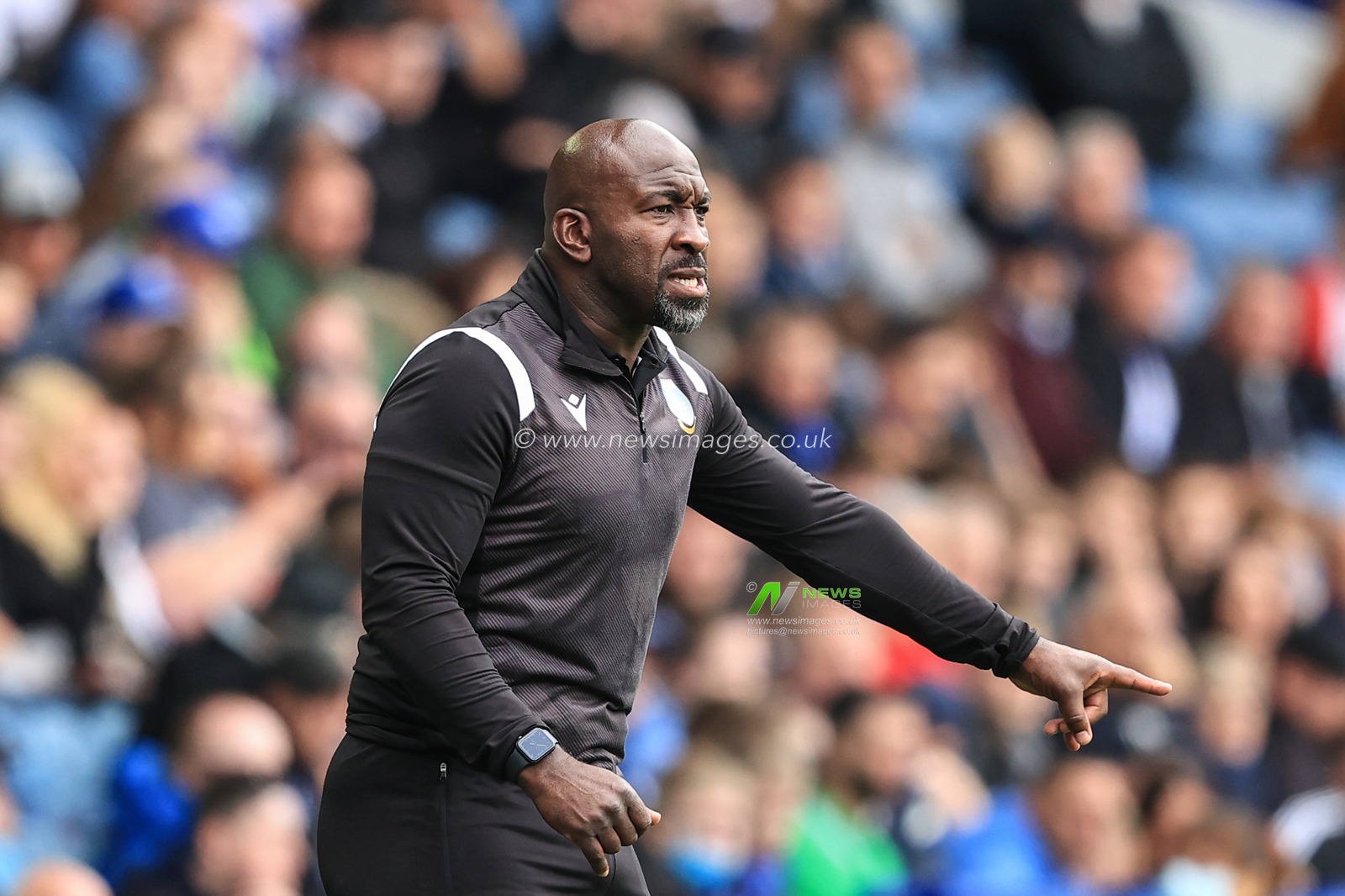 Darren Moore manager of Sheffield Wednesday reacts during the game