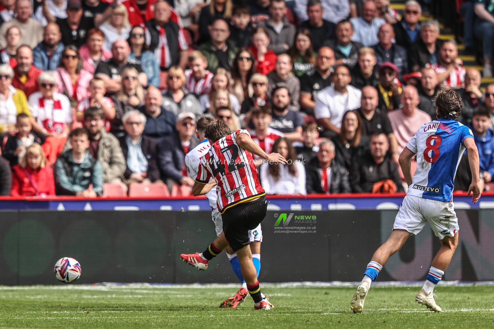 Sydie Peck of Sheffield United takes a shot on goal during the Sky Bet Championship match Sheffield United vs Blackburn Rovers at Bramall Lane, Sheffield, United Kingdom, 3rd May 2025

(Photo by Alfie Cosgrove/News Images)