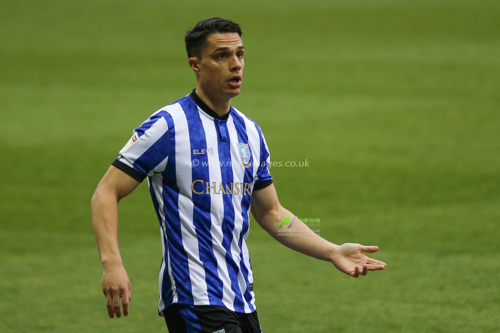 Joey Pelupessy #8 of Sheffield Wednesday