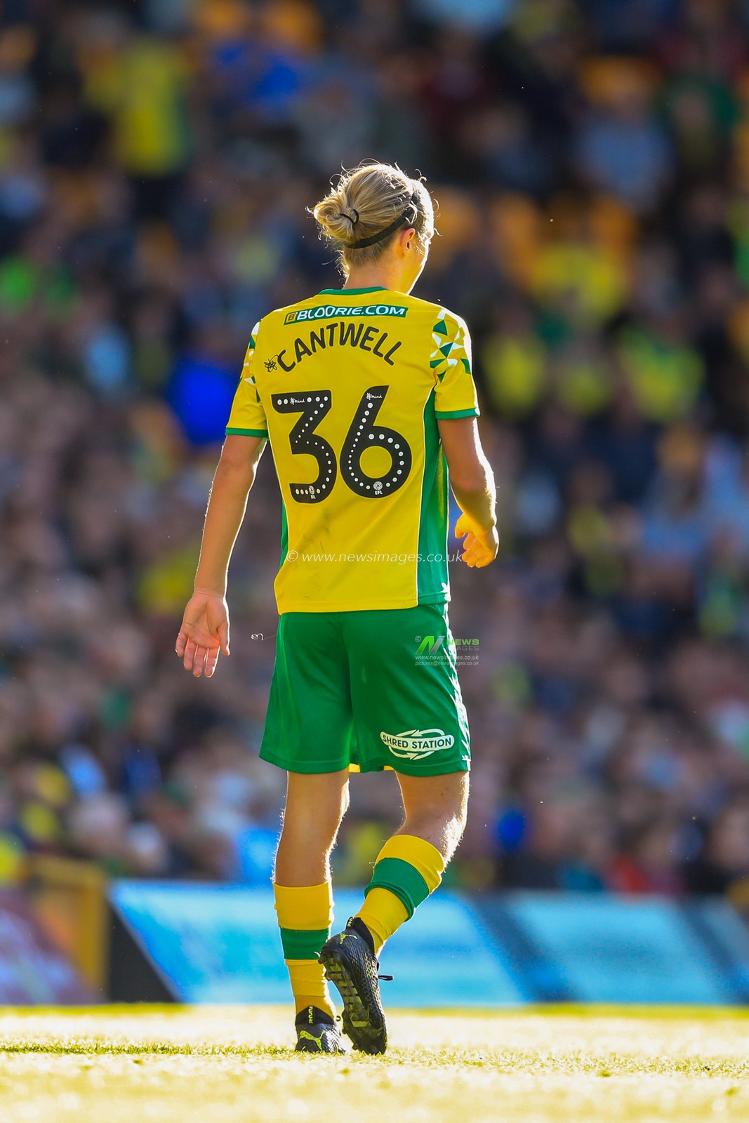 29th September 2018, Carrow Road, Norfolk, England; Sky Bet Championship, Norwich City v Wigan Athletic ; Todd Cantwell (36) of Norwich City

Credit:   Georgie Kerr/News Images

English Football League images are subject to DataCo Licence