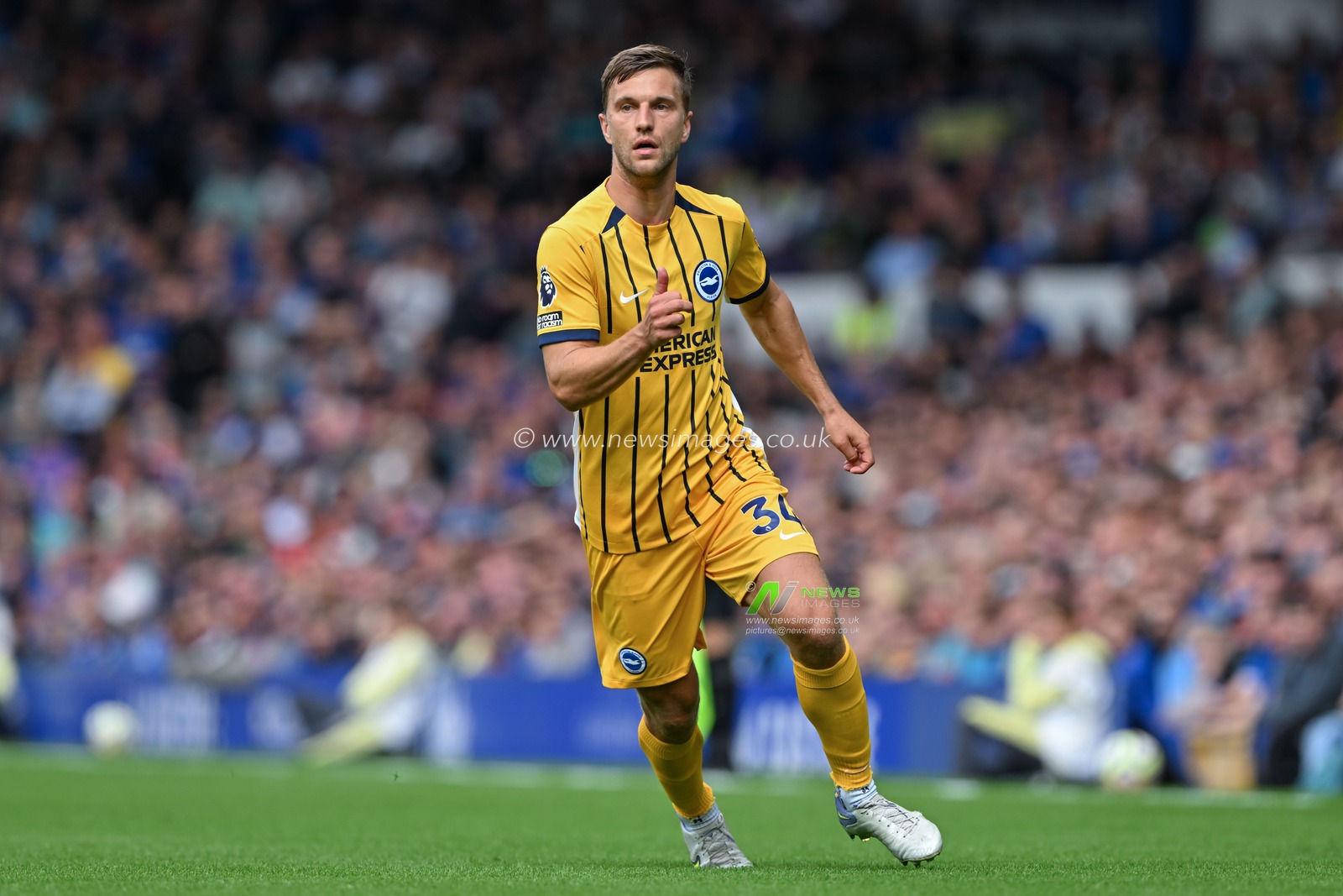 JoÃ«l Veltman of Brighton & Hove Albion during the Premier League match Everton vs Brighton and Hove Albion at Goodison Park, Liverpool, United Kingdom, 17th August 2024

(Photo by Cody Froggatt/News Images)
