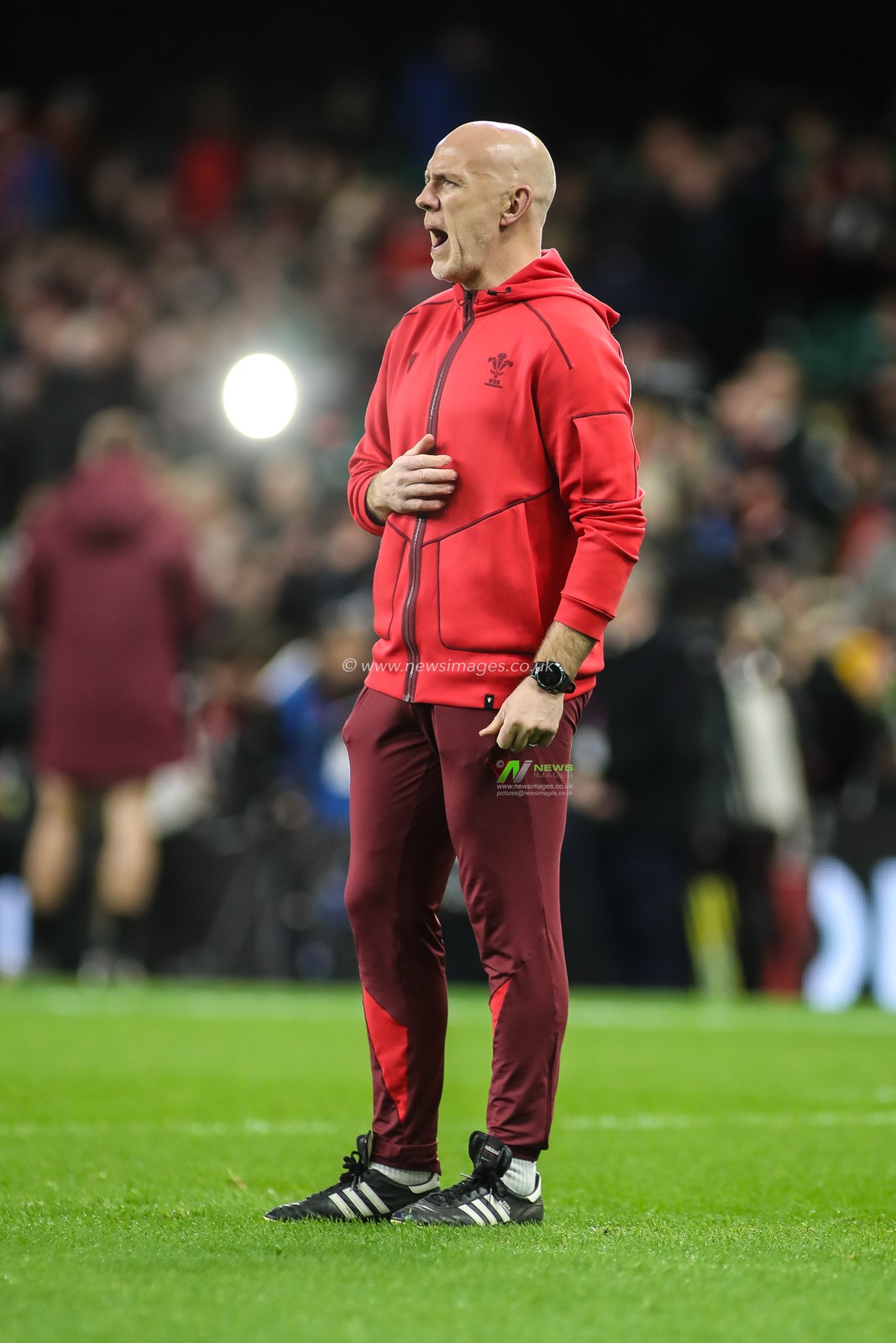 Wales Head Coach Steve Tandy during the Quilter Nations Series 2025 match Wales vs New Zealand at Principality Stadium, Cardiff, United Kingdom, 22nd November 2025

(Photo by Andrew Lewis/News Images)

*** GER AUT SUI OUT ***