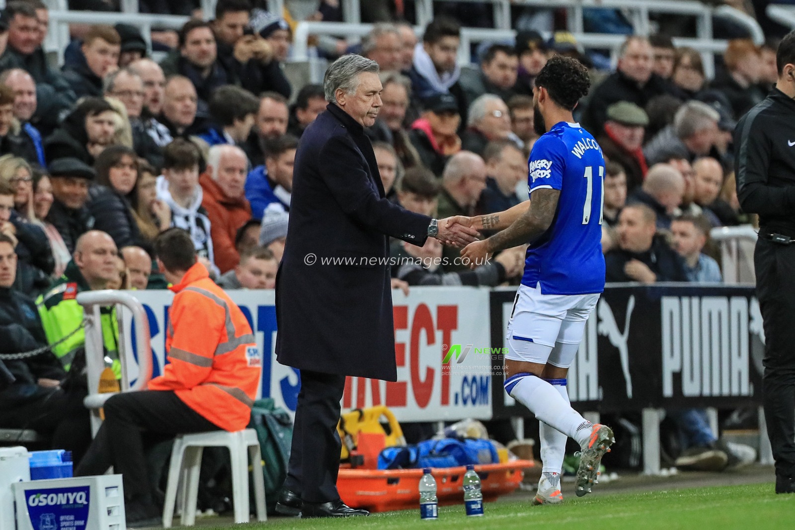 28th December 2019, St. James's Park, Newcastle, England; Premier League, Newcastle United v Everton : Carlo Ancelotti manager of Everton shakes hands with Theo Walcott (11) of Everton as heâ€™s substituted 

Credit: Mark Cosgrove/News Images