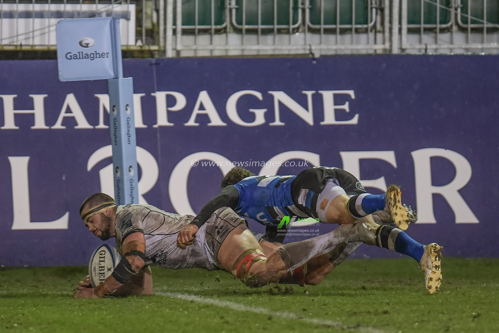Lewis Ludlow #7 of Gloucester rugby goes over for the try for Gloucester to make it 13-14 to Gloucester