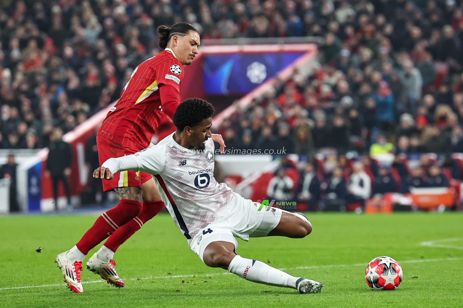 Alexsandro of Lille clears the ball despite pressure from Darwin NÃºÃ±ez of Liverpool during the UEFA Champions League - League Stage Liverpool v Lille at Anfield, Liverpool, United Kingdom, 21st January 2025

(Photo by Mark Cosgrove/News Images)
