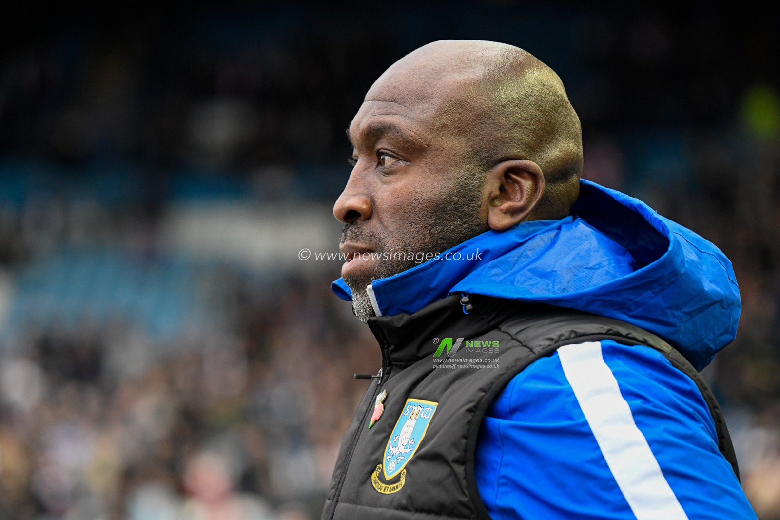 Darren Moore manager of Sheffield Wednesday in action