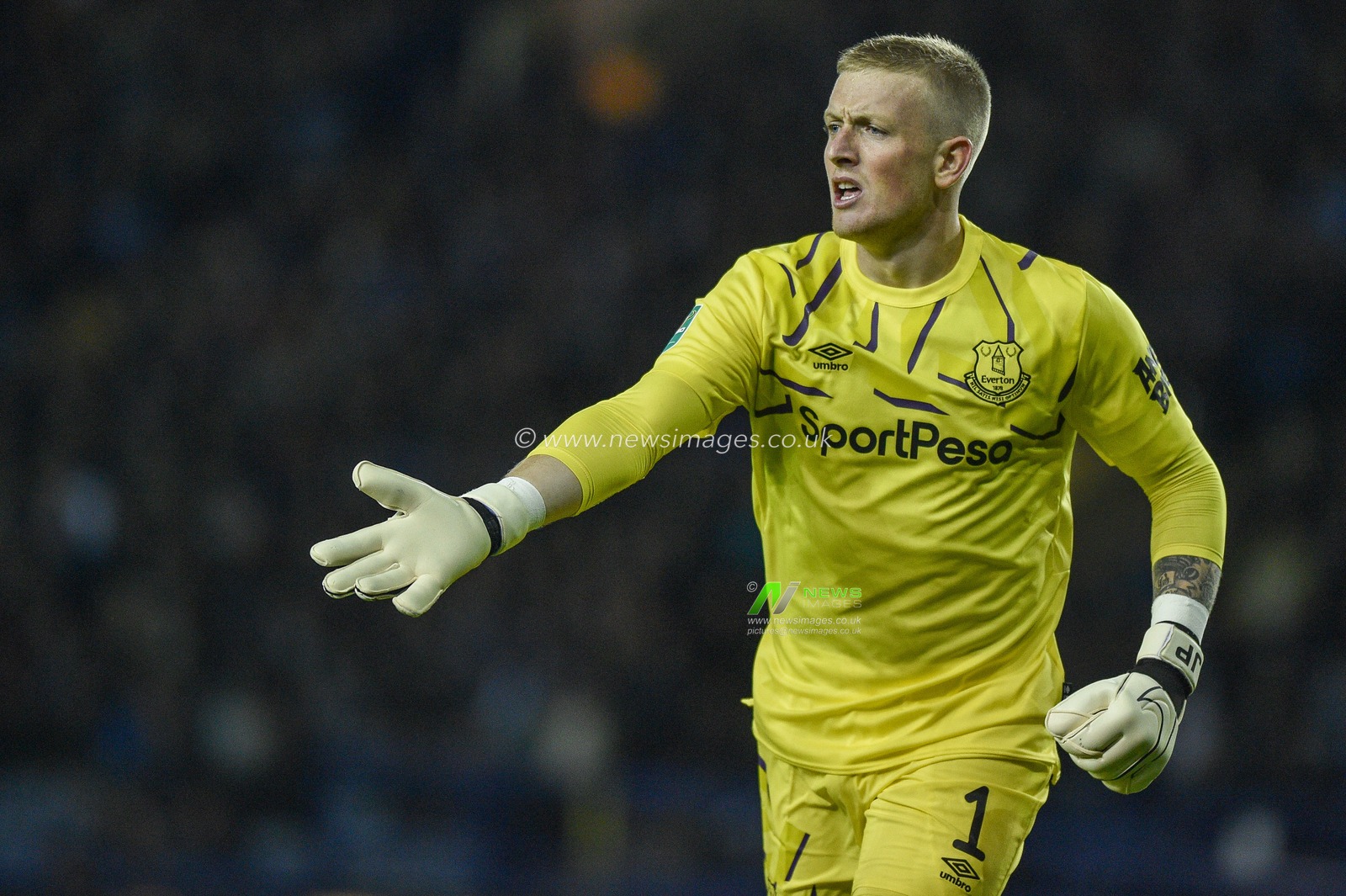 24th September 2019 , Hillsborough, Sheffield, England; EFL Carabao Cup Football, Third Round, Sheffield Wednesday vs Everton : Jordan Pickford(1) of Everton gives his defenders advice.
Credit: Dean Williams/News Images, 

English Football League images are subject to DataCo Licence