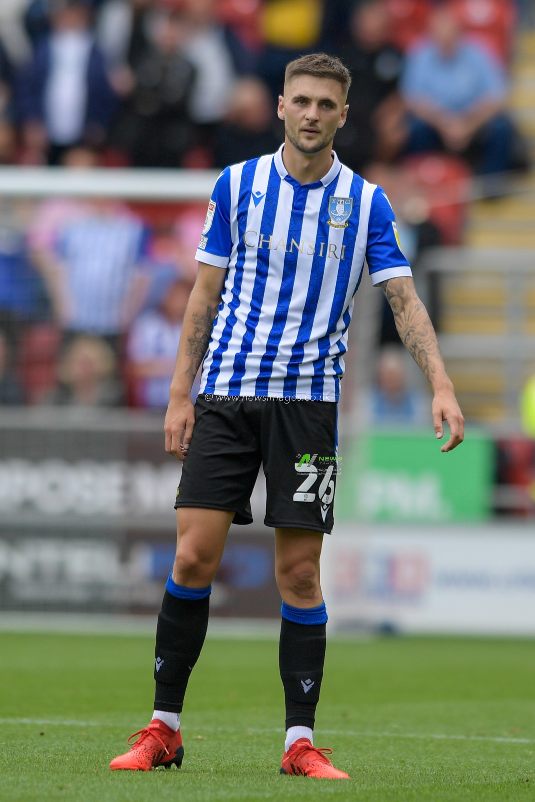 Lewis Wing #26 of Sheffield Wednesday in action during the game