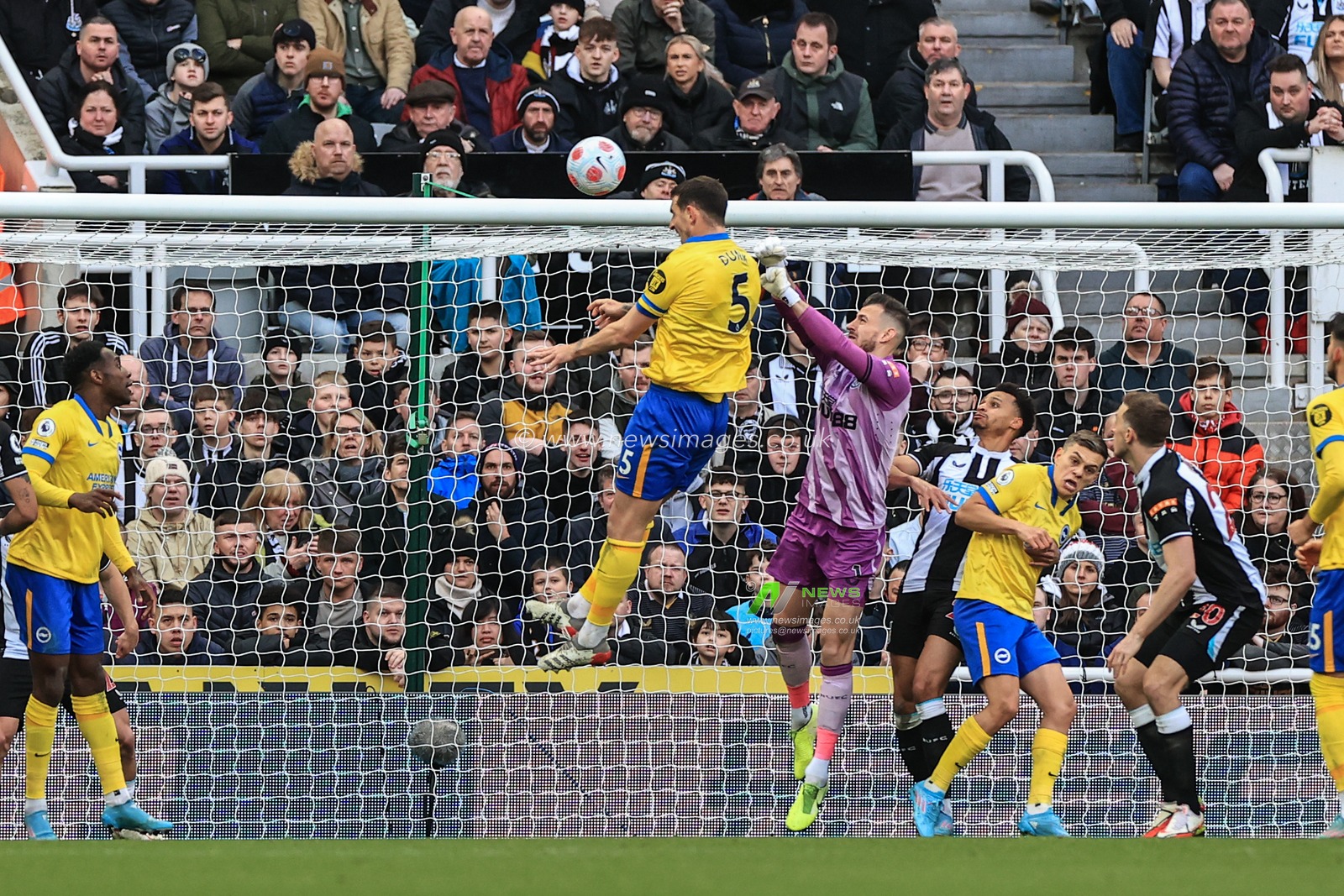 Lewis Dunk #5 of Brighton & Hove Albion scores to make it 2-1