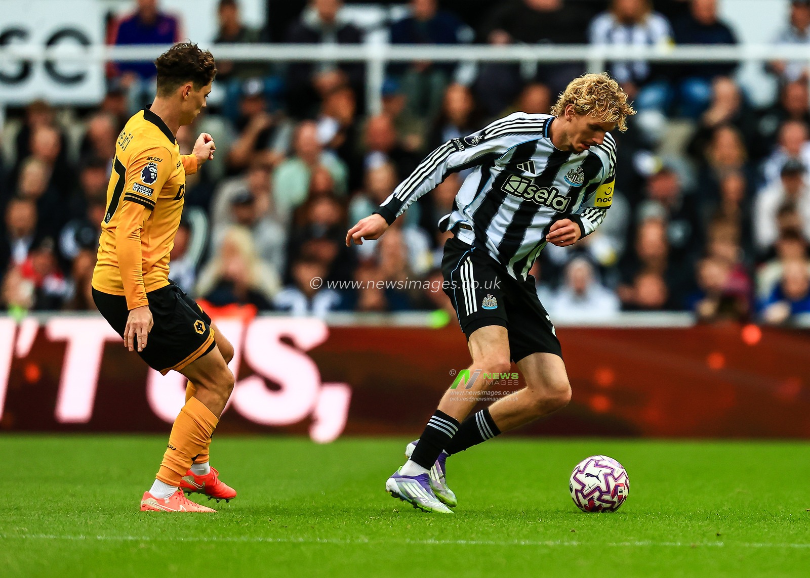 Nick Woltemade of Newcastle United in action during the Premier League match Newcastle United vs Wolverhampton Wanderers at St. James's Park, Newcastle, United Kingdom, 13th September 2025

(Photo by Richard Bierton/News Images)