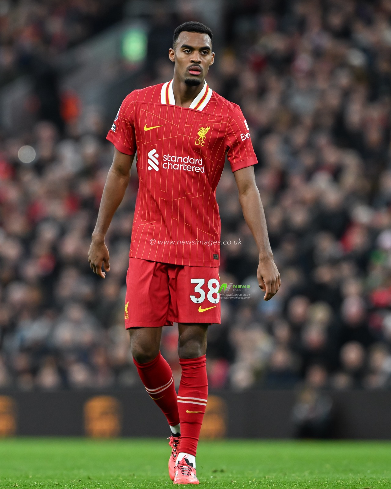 Ryan Gravenberch of Liverpool during the Premier League match Liverpool vs Brighton and Hove Albion at Anfield, Liverpool, United Kingdom, 2nd November 2024

(Photo by Cody Froggatt/News Images)