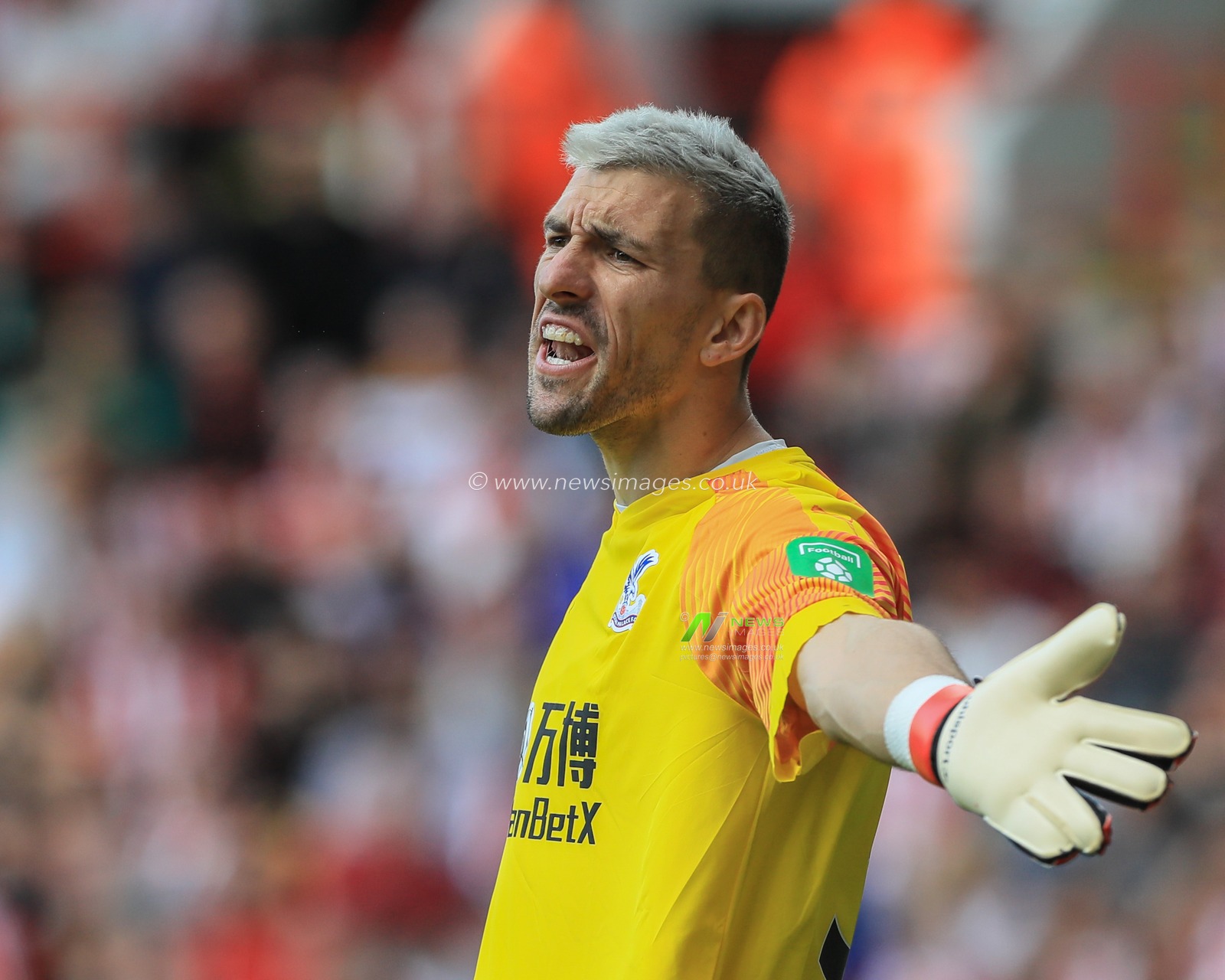 18th August 2019 , Bramall Lane, Sheffield, England; Premier League Football, Sheffield United vs Crystal Palace ; Vicente Guaita (31) of Crystal Palace gets vocal with his defensive line


Credit: Mark Cosgrove/News Images

English Football League images are subject to DataCo Licence