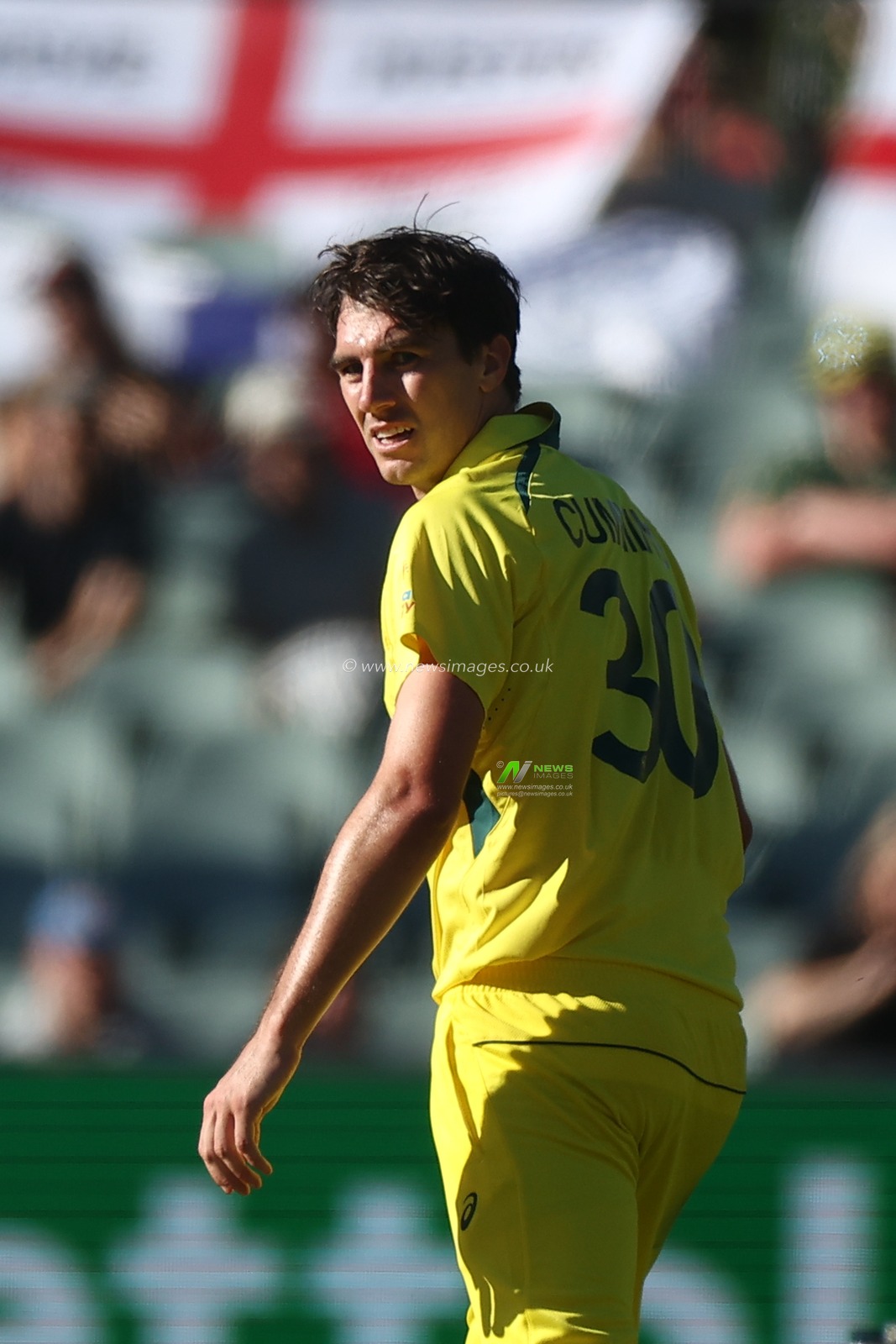Pat Cummins of Australia looks on during the Dettol ODI Series match Australia vs England at Adelaide Oval, Adelaide, Australia, 17th November 2022

(Photo by Patrick Hoelscher/News Images)