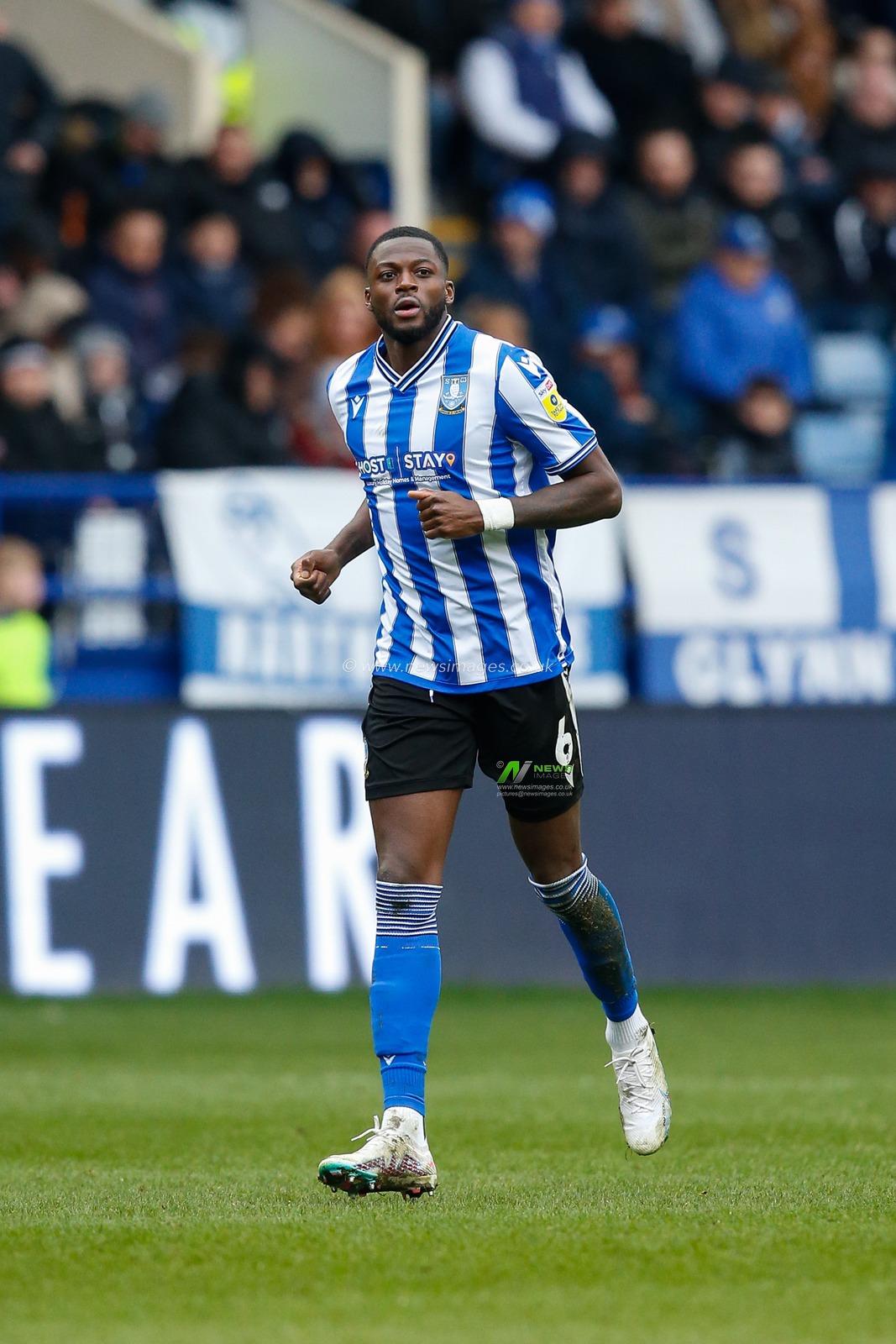 Dominic Iorfa #6 of Sheffield Wednesday during the Sky Bet League 1 match Sheffield Wednesday vs Peterborough at Hillsborough, Sheffield, United Kingdom, 4th March 2023

(Photo by Ben Early/News Images)