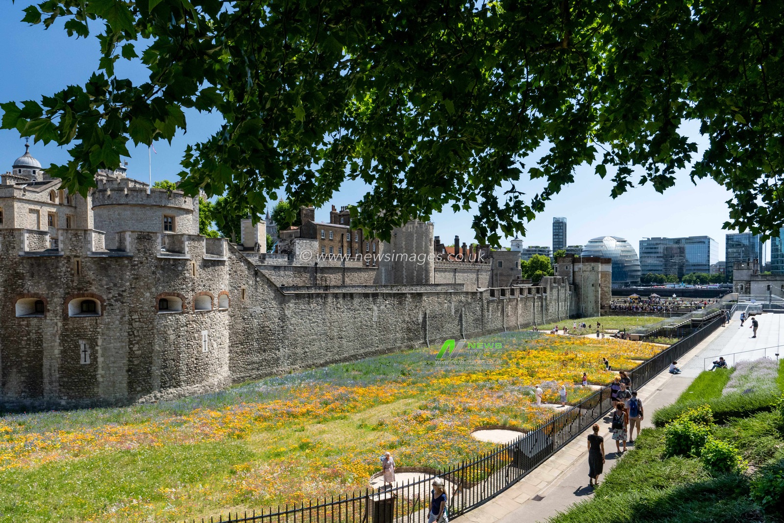 The moat at the Tower of London has been transformed into a habitat for wildlife in the heart of the city. The Superbloom is the first year of a permanent transformation of the moat. The end of March 20 million seeds were sowed. The moat will filled with colour from June to September.