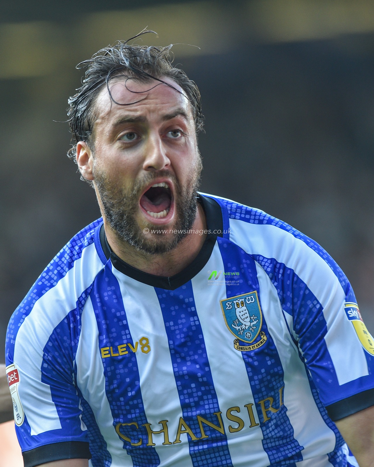 21st September 2019 , Hillsborough, Sheffield, England; Sky Bet Championship, Sheffield Wednesday vs Fulham : 
Credit: Dean Williams/News Images, Atdhe Nuhiu (17) of Sheffield Wednesday celebrates scoring a late equaliser against Fulham 1-1.

English Football League images are subject to DataCo Licence