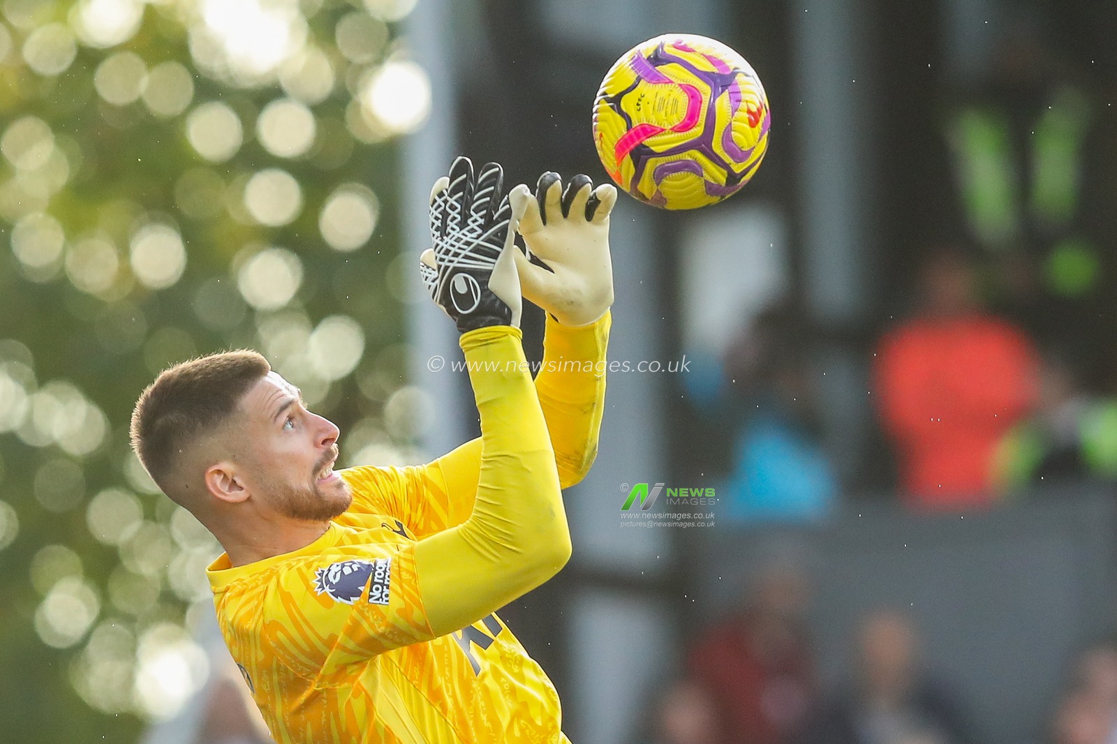 Guglielmo Vicario of Tottenham Hotspur makes a save during the Premier League match Crystal Palace vs Tottenham Hotspur at Selhurst Park, London, United Kingdom, 27th October 2024

(Photo by Izzy Poles/News Images)