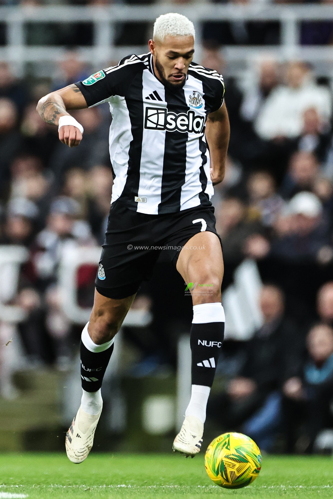 Joelinton of Newcastle United goes forward with the ball during the Carabao Cup Quarter Final Newcastle United vs Brentford at St. James's Park, Newcastle, United Kingdom, 18th December 2024

(Photo by Mark Cosgrove/News Images)