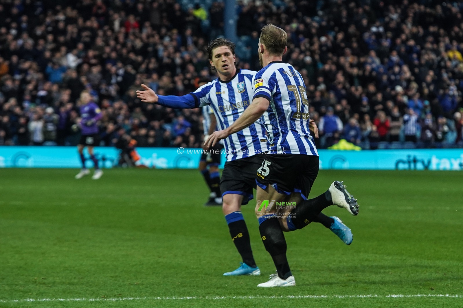 29th December 2019, Hillsborough, Sheffield, England; Sky Bet Championship, Sheffield Wednesday v Cardiff City : Tom Lees (15) of Sheffield Wednesday celebrates scoring 

Credit: Kurt Fairhurst/News Images