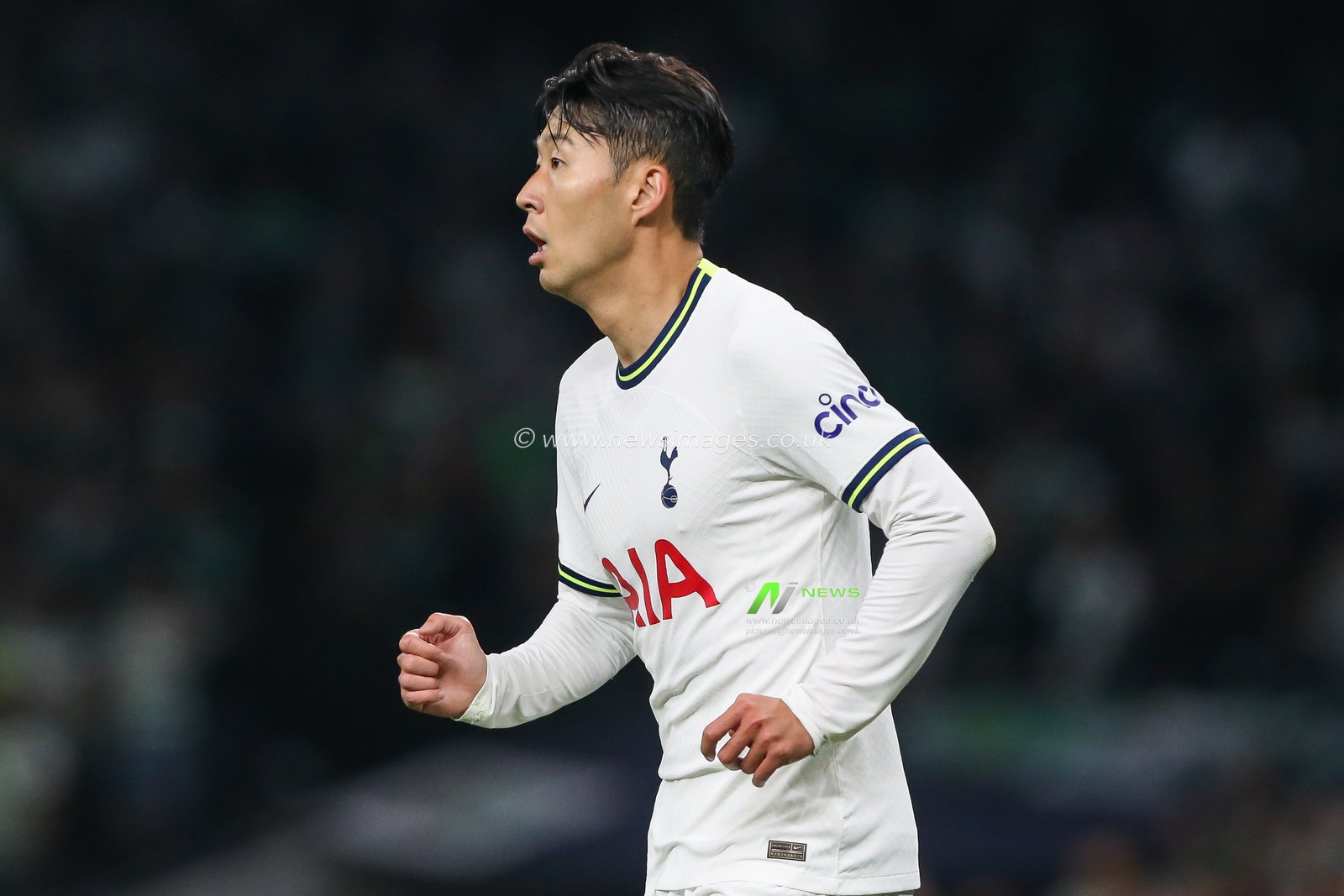 Son Heung-Min #7 of Tottenham Hotspur during the UEFA Champions League match Tottenham Hotspur vs Sporting Lisbon at Tottenham Hotspur Stadium, London, United Kingdom, 26th October 2022

(Photo by Arron Gent/News Images)