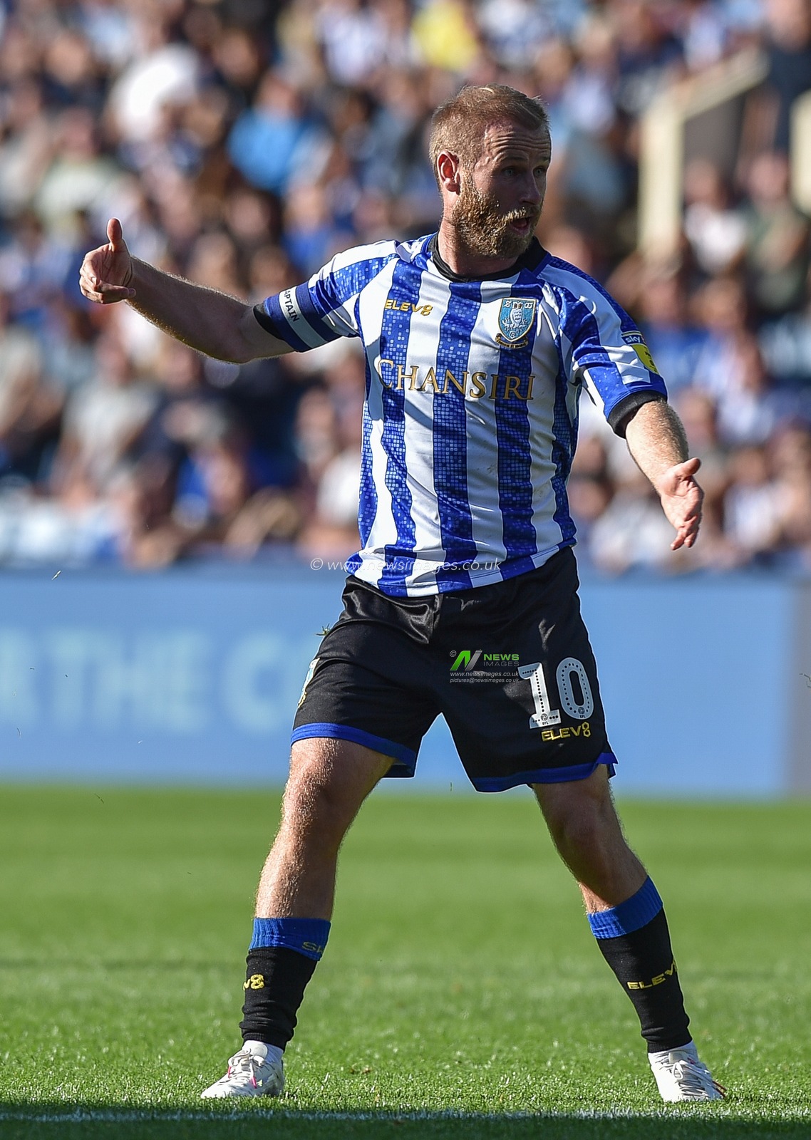 21st September 2019 , Hillsborough, Sheffield, England; Sky Bet Championship, Sheffield Wednesday vs Fulham : 
Credit: Dean Williams/News Images, Barry Bannan (10) of Sheffield Wednesday 

English Football League images are subject to DataCo Licence