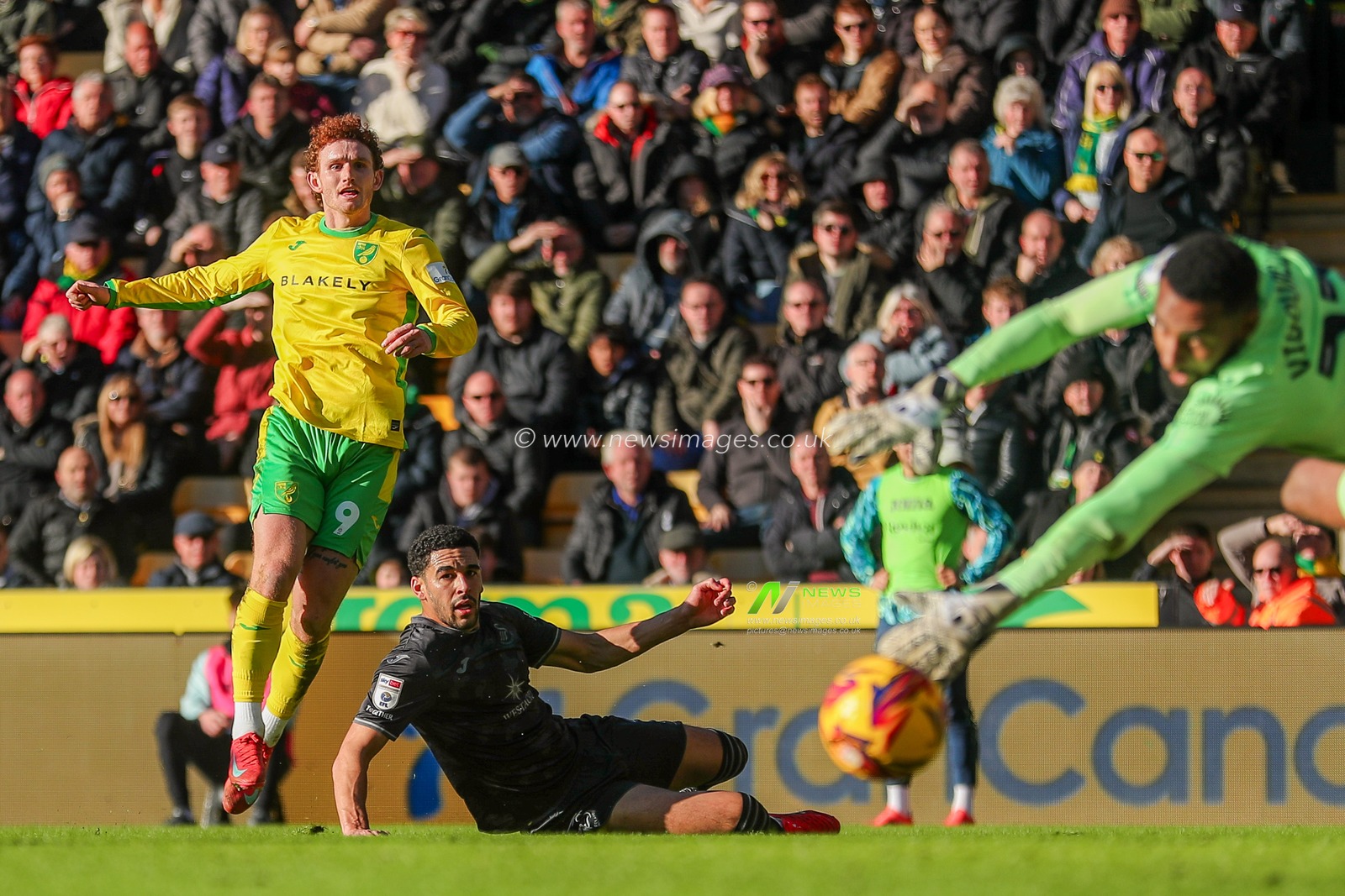 Josh Sargent of Norwich City shoots during the Sky Bet Championship match Norwich City vs Swansea City at Carrow Road, Norwich, United Kingdom, 25th January 2025

(Photo by Izzy Poles/News Images)