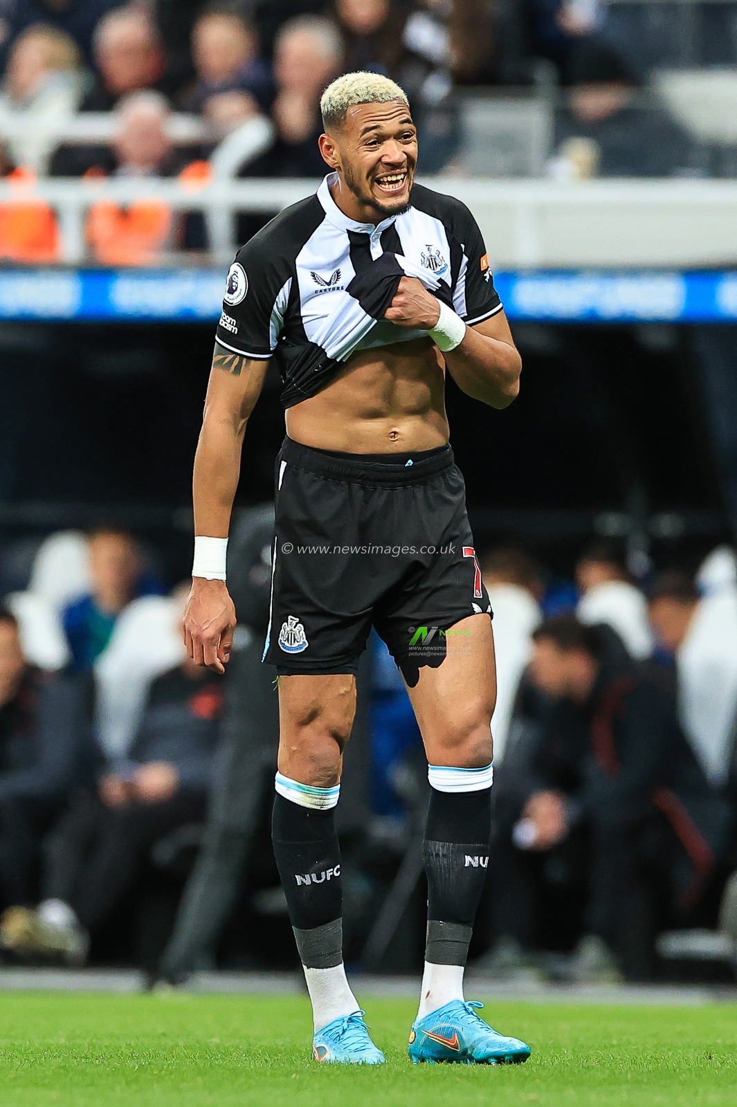 Joelinton #7 of Newcastle United during the game