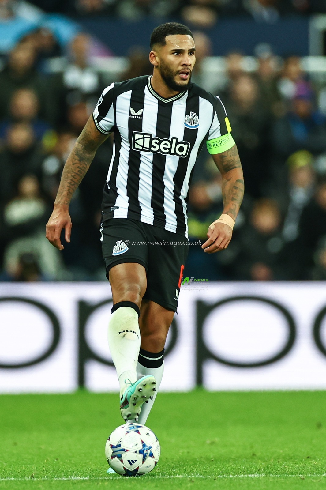 Jamaal Lascelles #6 of Newcastle United during the UEFA Champions League match Newcastle United vs AC Milan at St. James's Park, Newcastle, United Kingdom, 13th December 2023

(Photo by Mark Cosgrove/News Images)